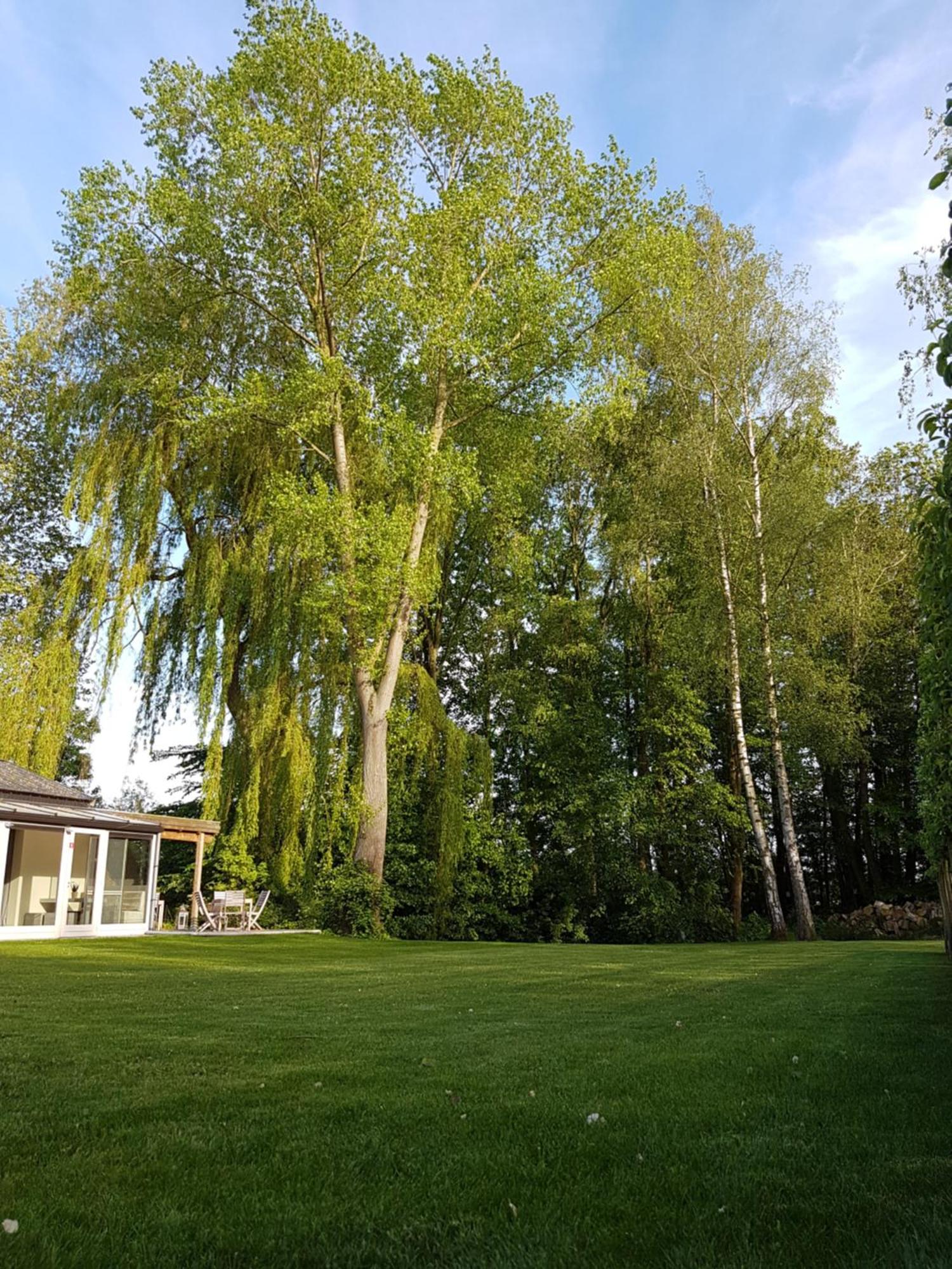 B&B Maison Kerkhove ภายนอก รูปภาพ